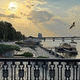 1231-  .  | : Mamenko P